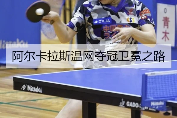 a-er-ka-la-si-wen-wang-duo-guan-wei-mian-zhi-lu-2-551.jpg